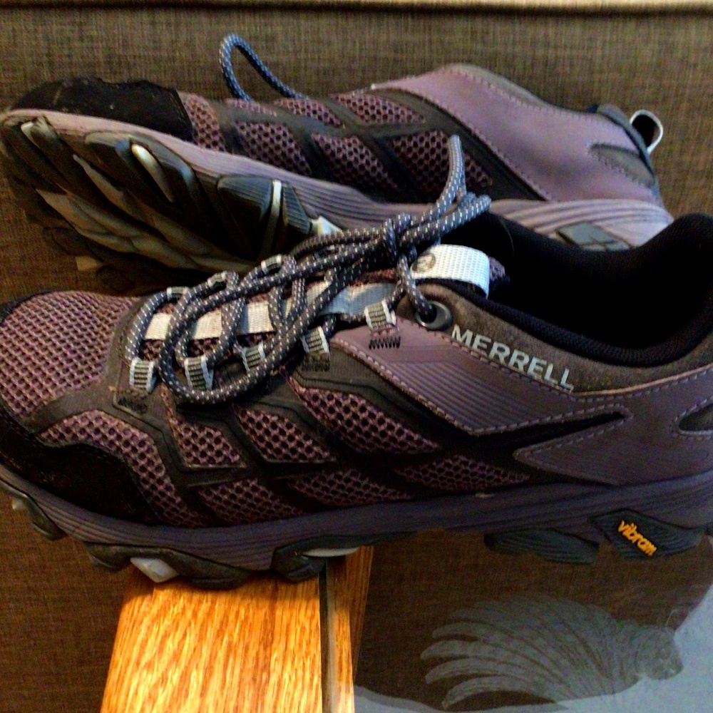 Merrill Moab FST 2